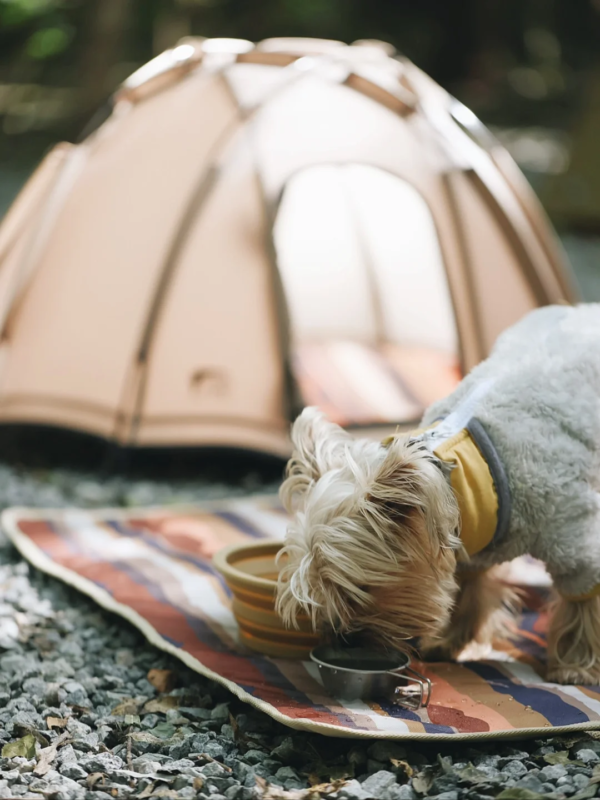 Pet camping tent