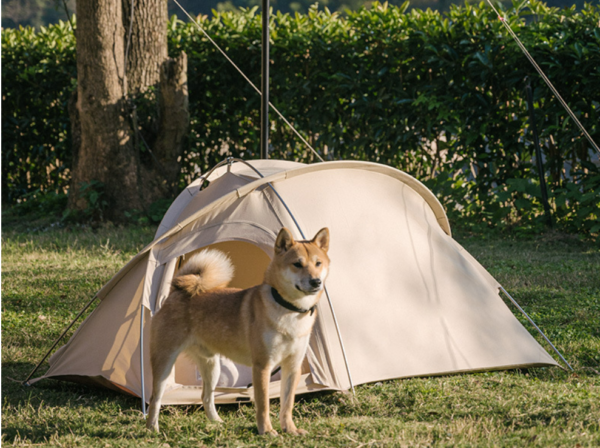 Pet camping tent